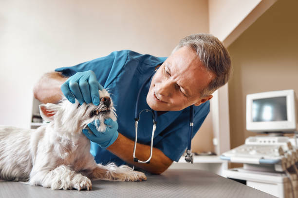 Best Same-Day Emergency Dentist in Prairieville, LA